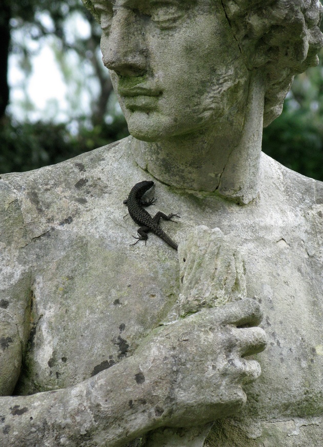 Carved & Craved, 2009 thumbnail 6