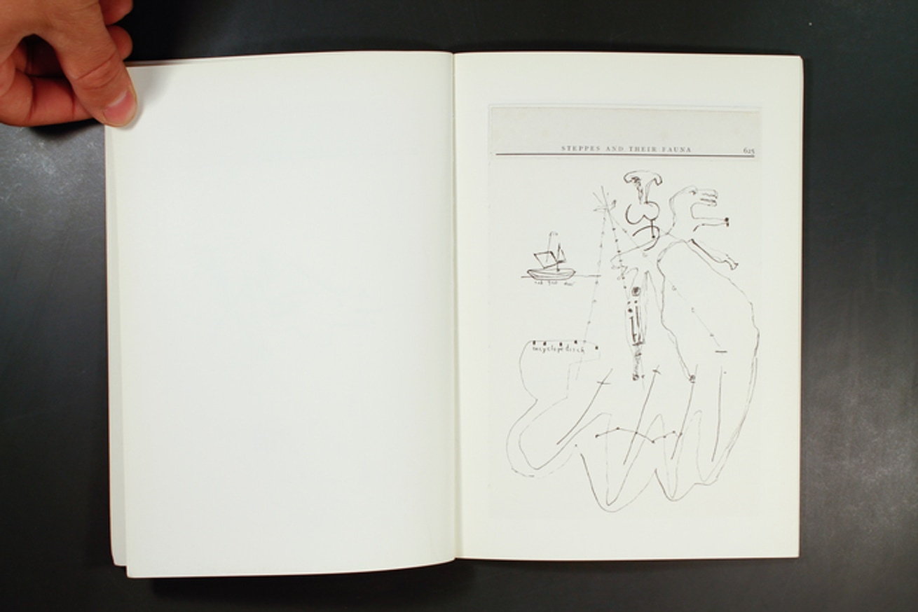 The New Natural History