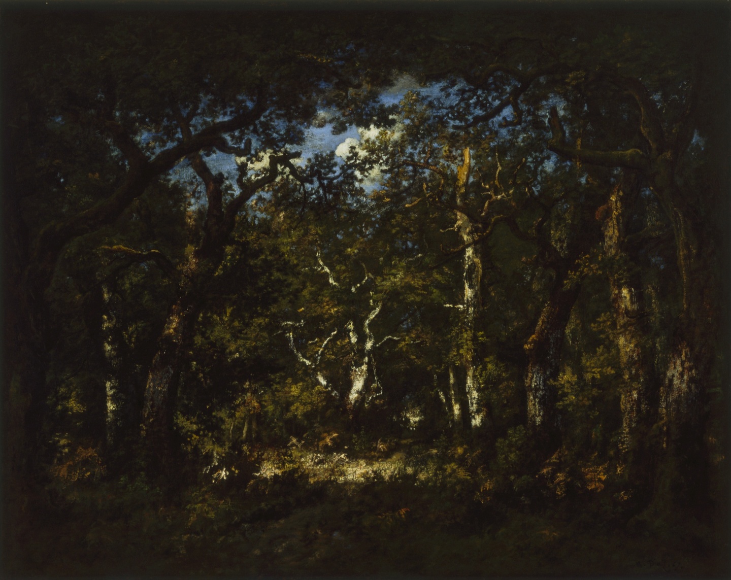 A bright clearing with trees, surrounded by a dark forest