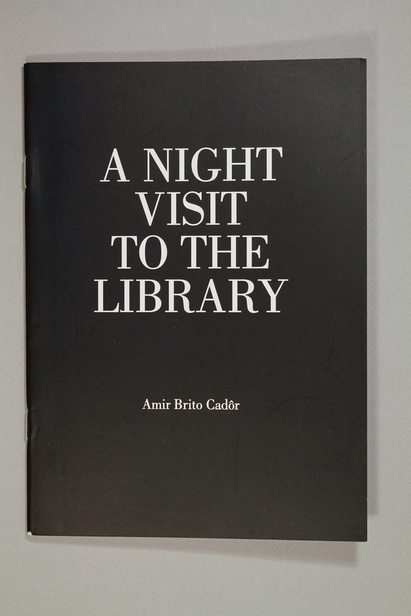 A Night Visit to the Library thumbnail 2