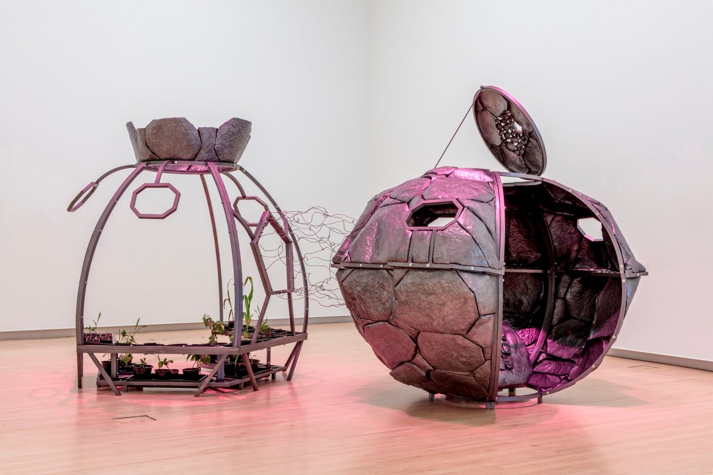 installation view