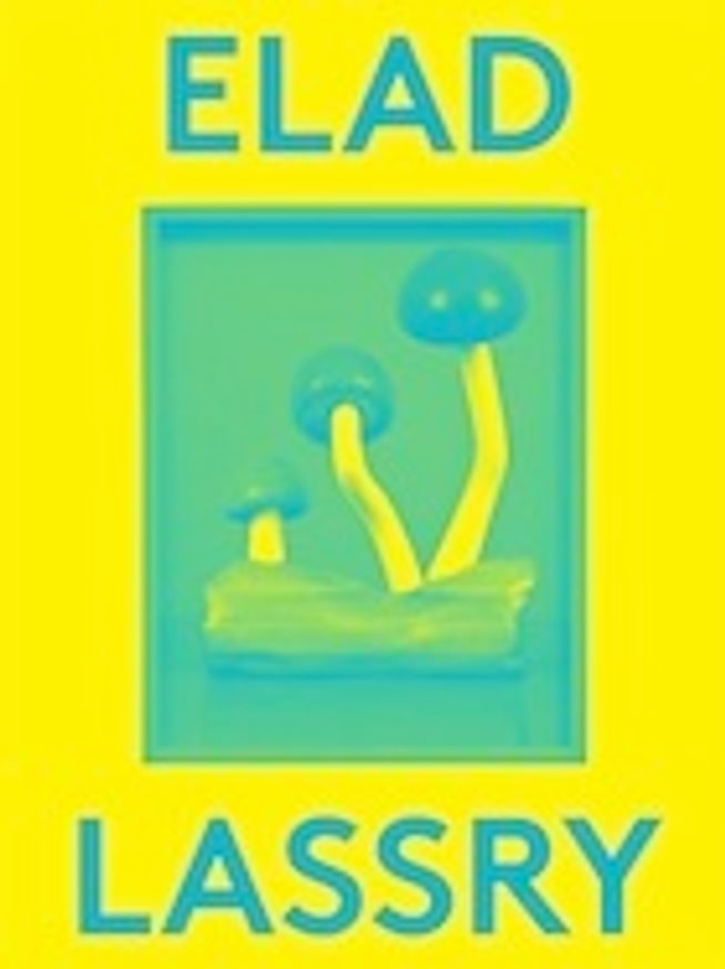 2000 Words : Elad Lassry