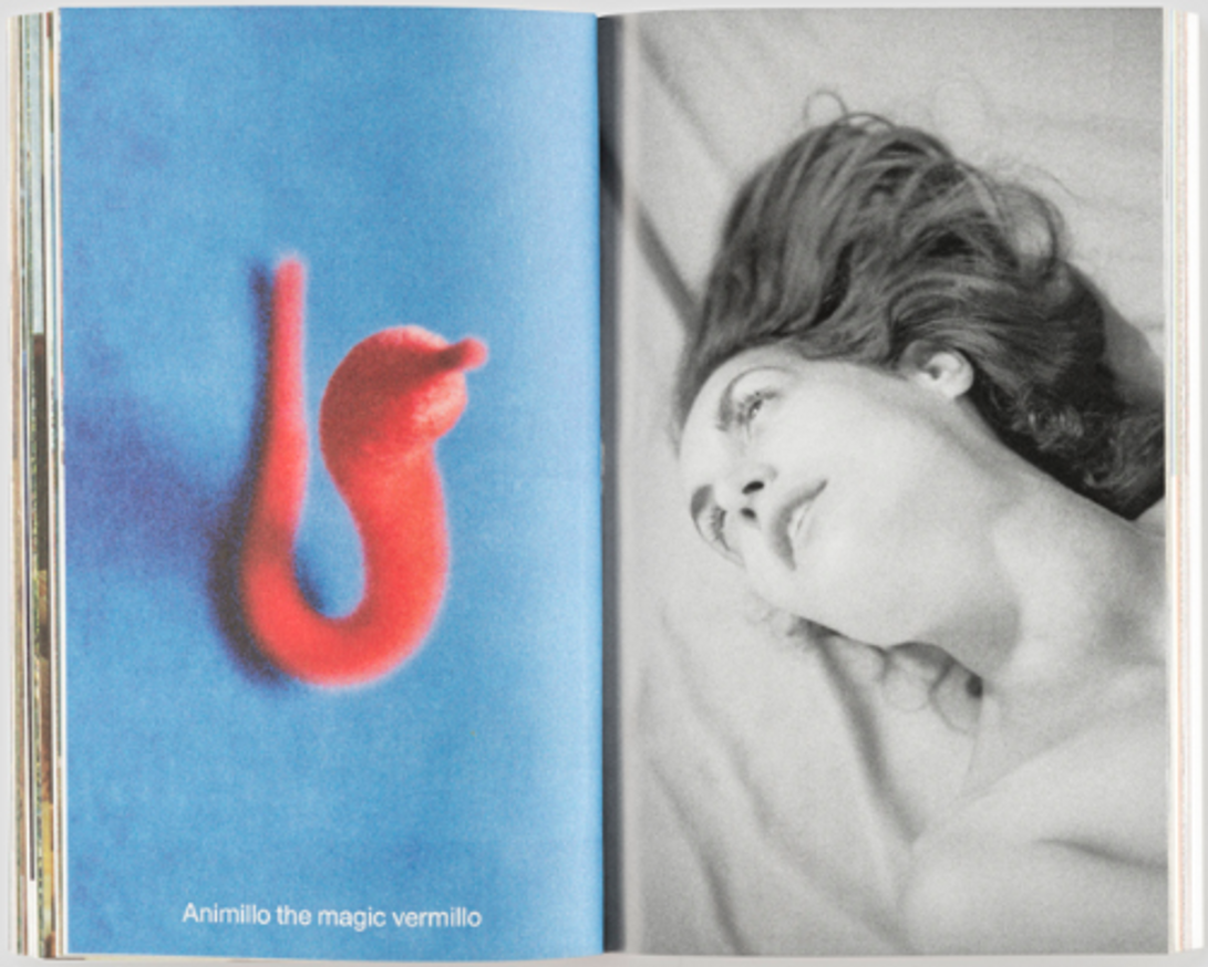 A brief account of Alessandro Cicoria's life and work. thumbnail 3