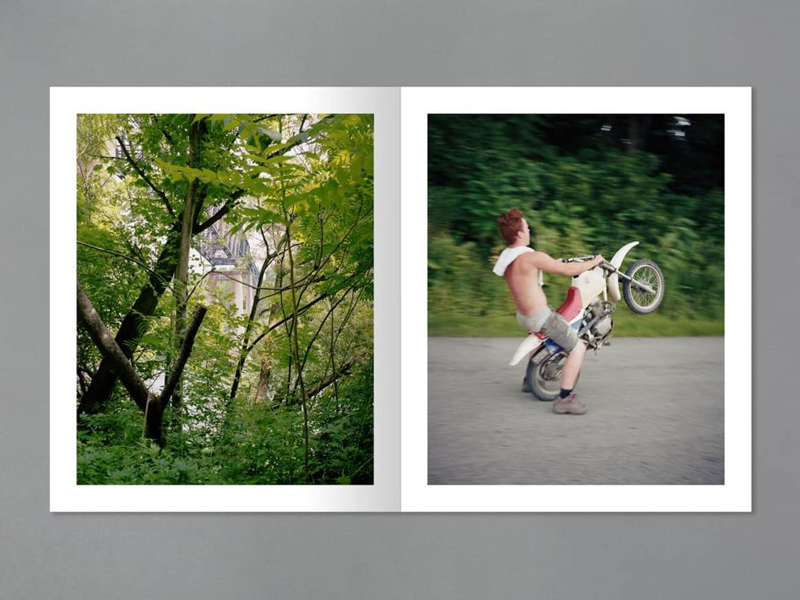 Laurel Mountain Laurel thumbnail 6