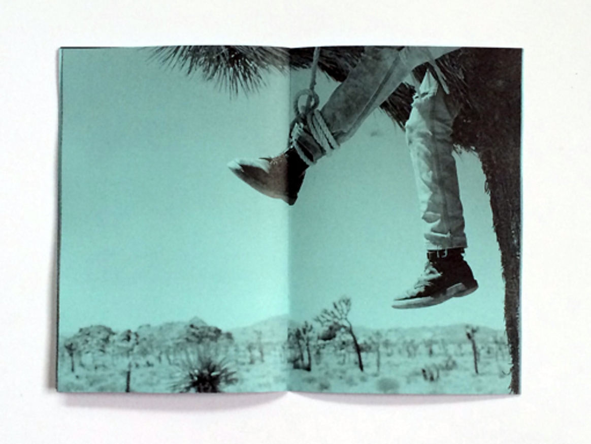 YESSSS Rasta thumbnail 2