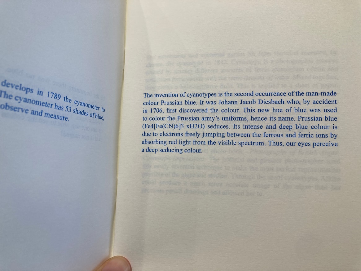 In the Beginning there was no Blue thumbnail 5