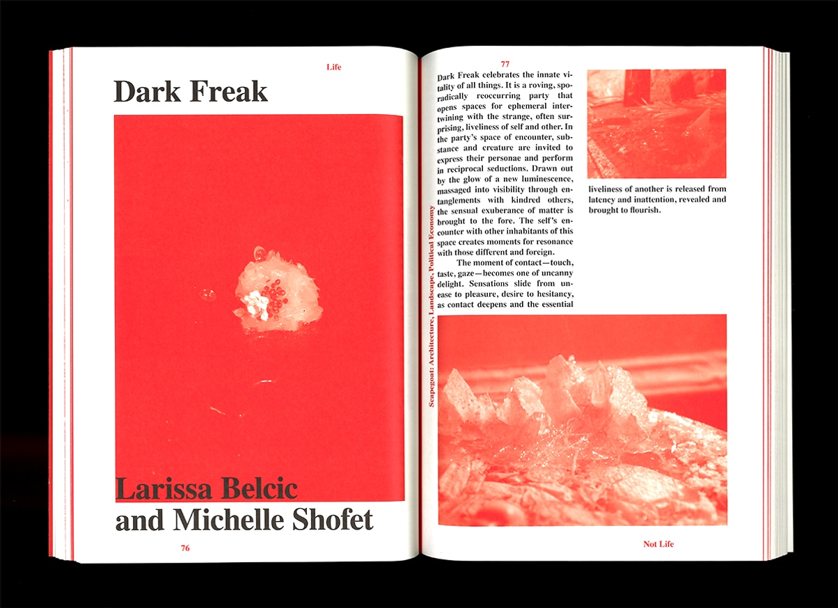 Scapegoat 11: Life thumbnail 3