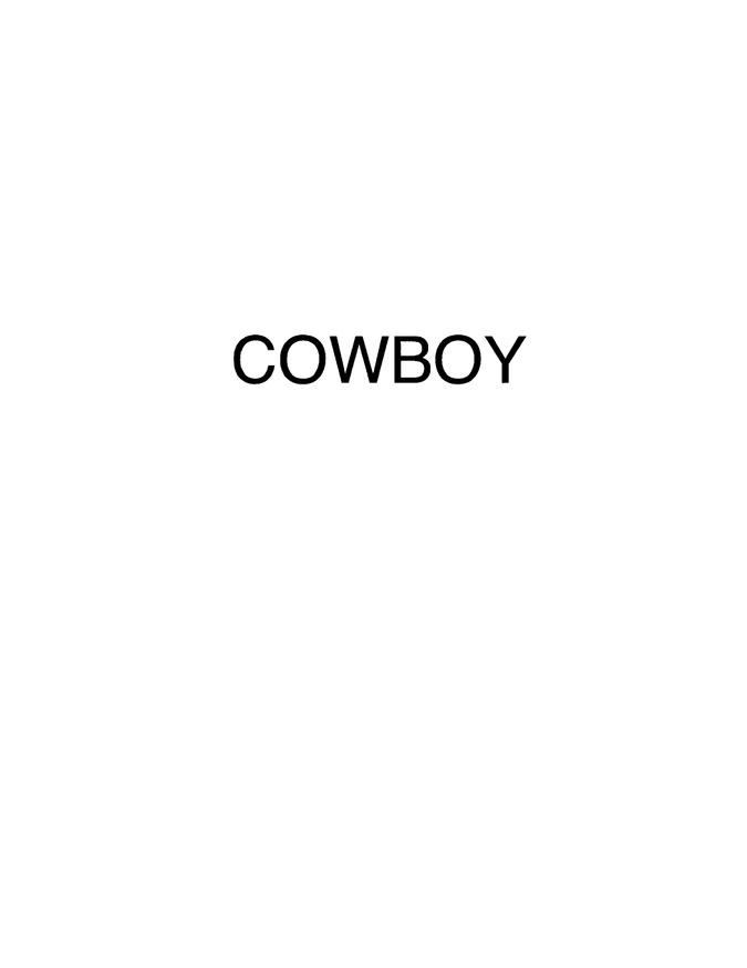 Richard Prince Cowboy, Essay