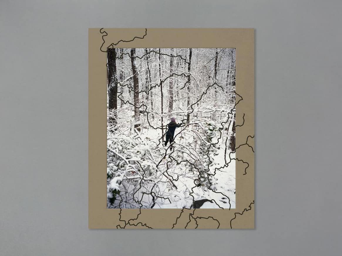 Laurel Mountain Laurel