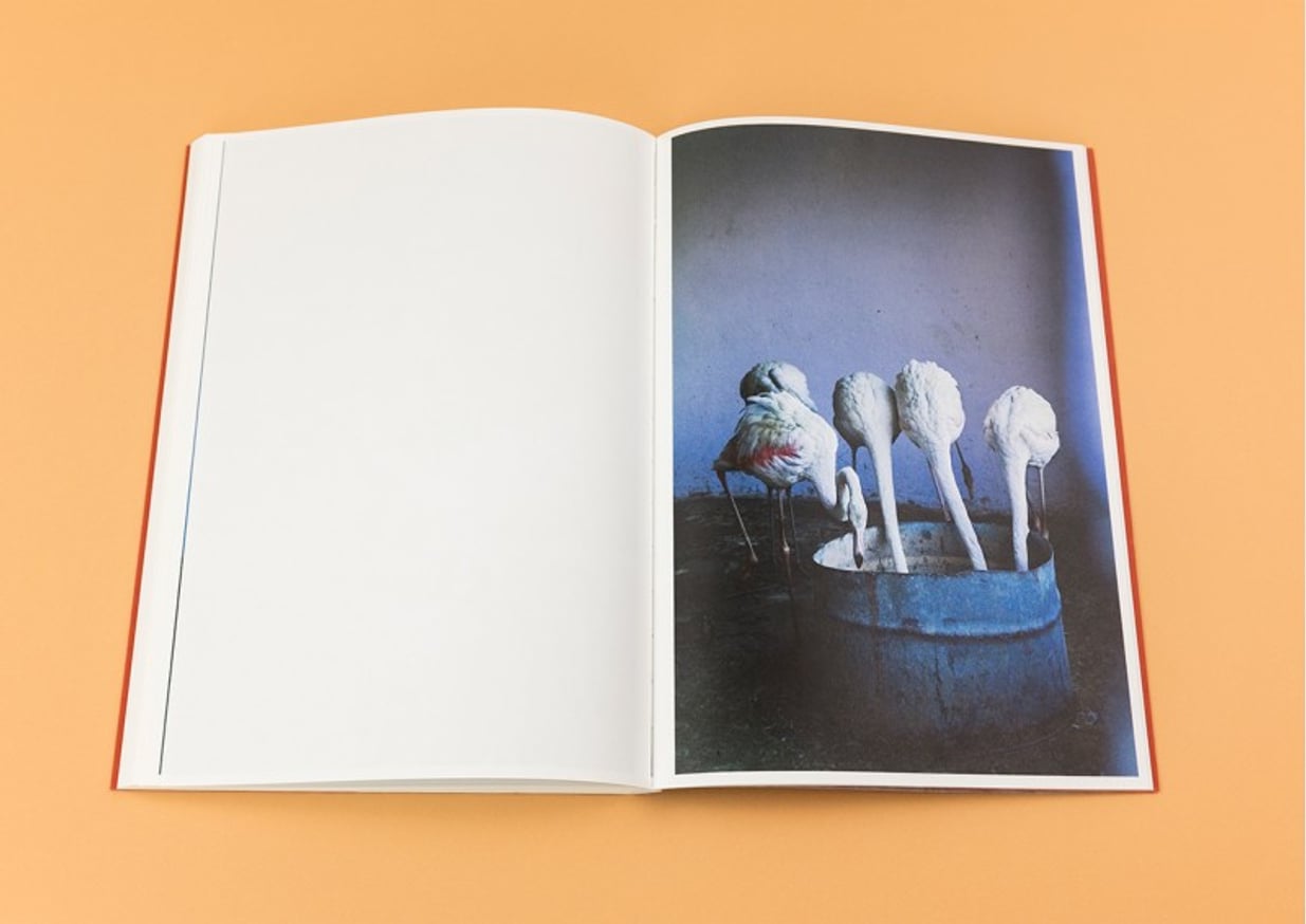 Tender Mint thumbnail 2