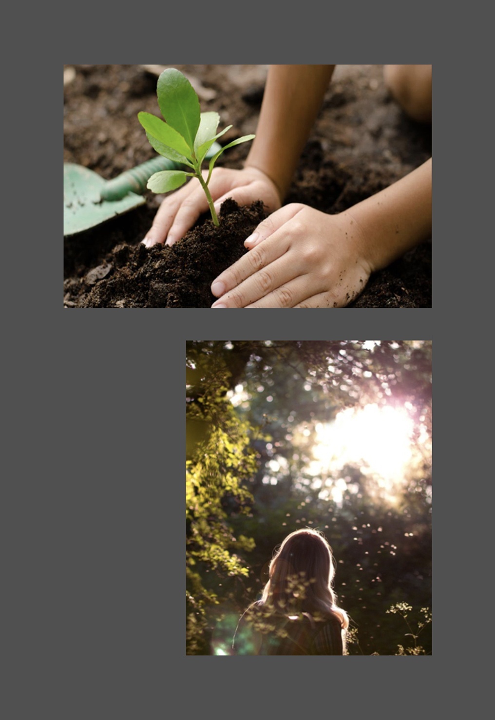 Moodboard of 2 images - two hands cupping soil, and sunshine shining through tree canopy to a girl whose back is facing us
