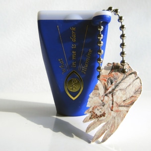 What in Me is Dark Illumine (Blue Bird Viewer, Fourth Edition)