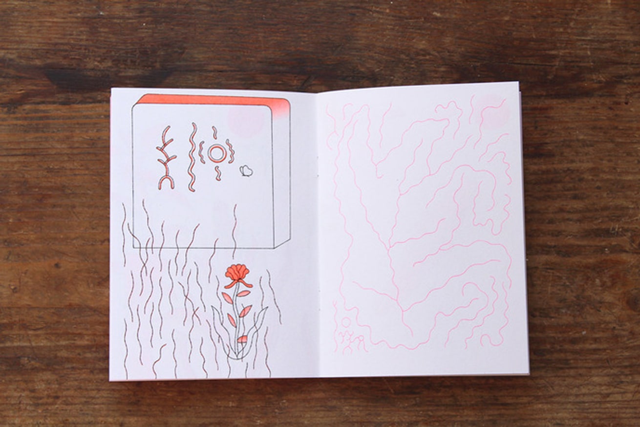 Papillon Blanc thumbnail 4