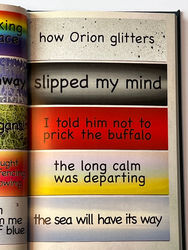 moby dick variations thumbnail 4