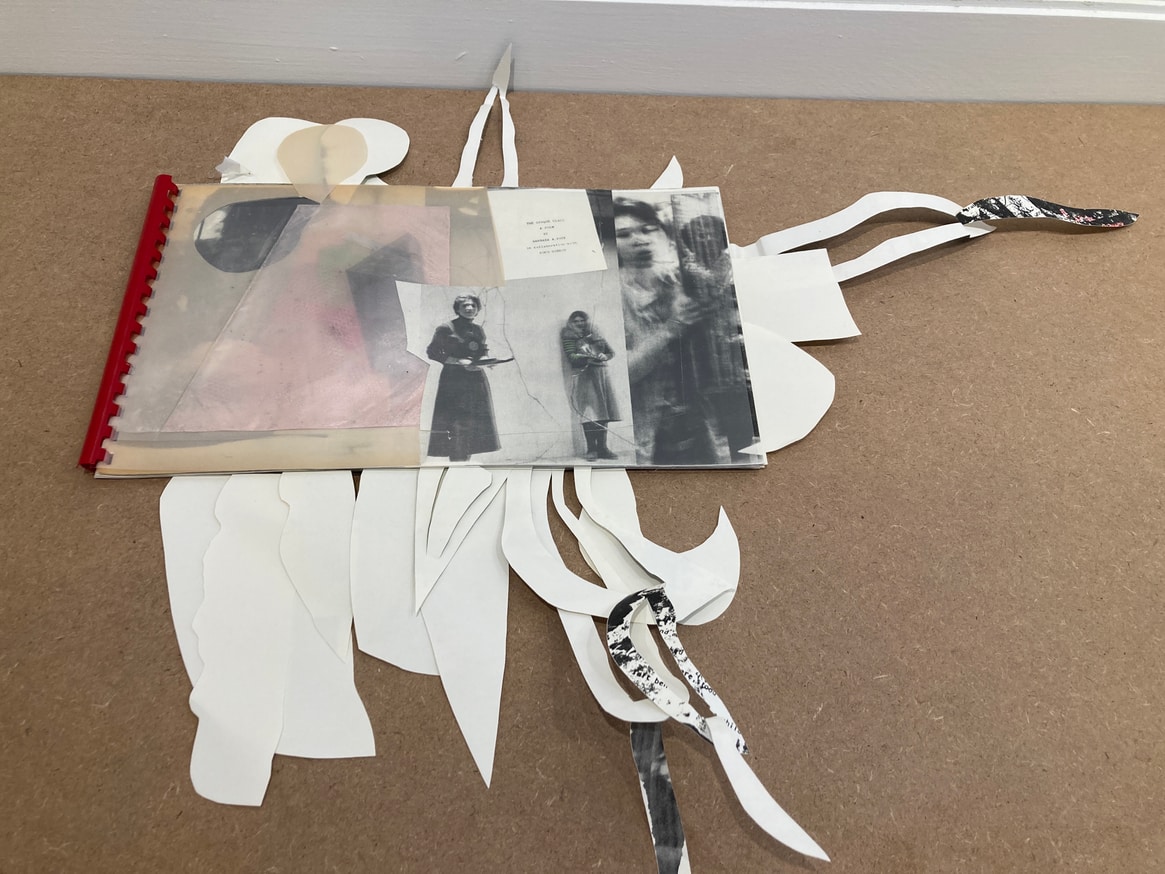 Cut Book (The Opaque Glass : A Poem by Barbara A. Roux in Collaboration with Coco Gordon)