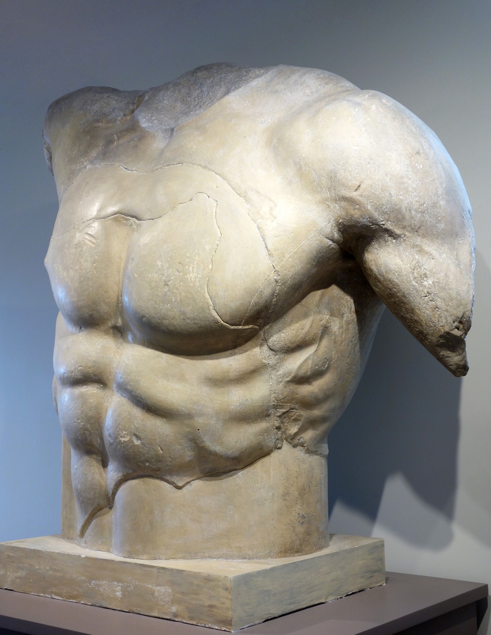 A plaster cast of a muscular male torso.