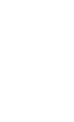 Untitled (Blank Book)