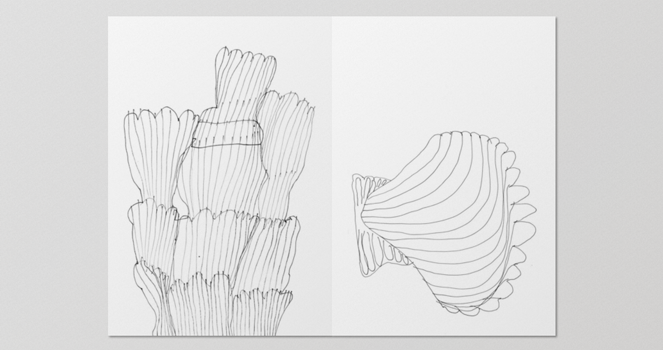 Tiere und Pflanzen thumbnail 2