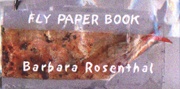 Fly Paper Book