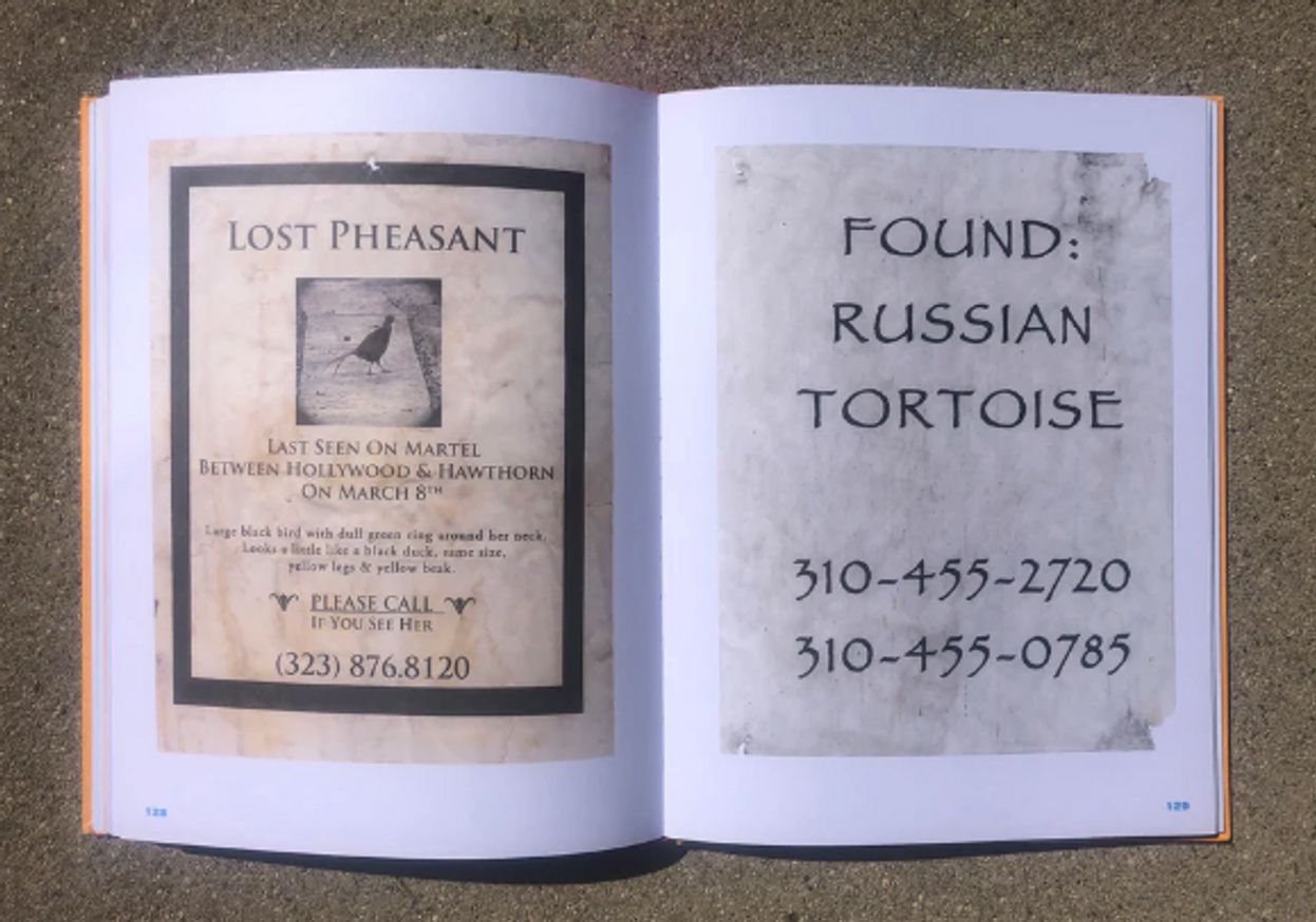 Still Missing thumbnail 5