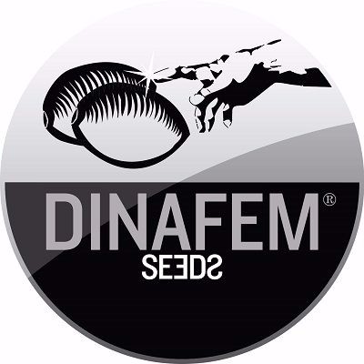Dinafem Seeds logo
