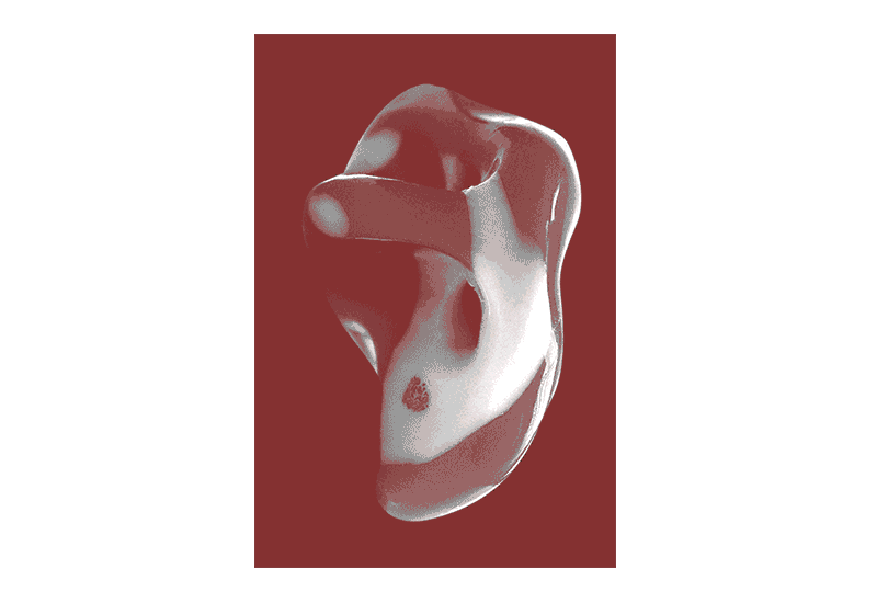 Lauren Tortil Une Genealogie Des Grandes Oreilles Printed Matter