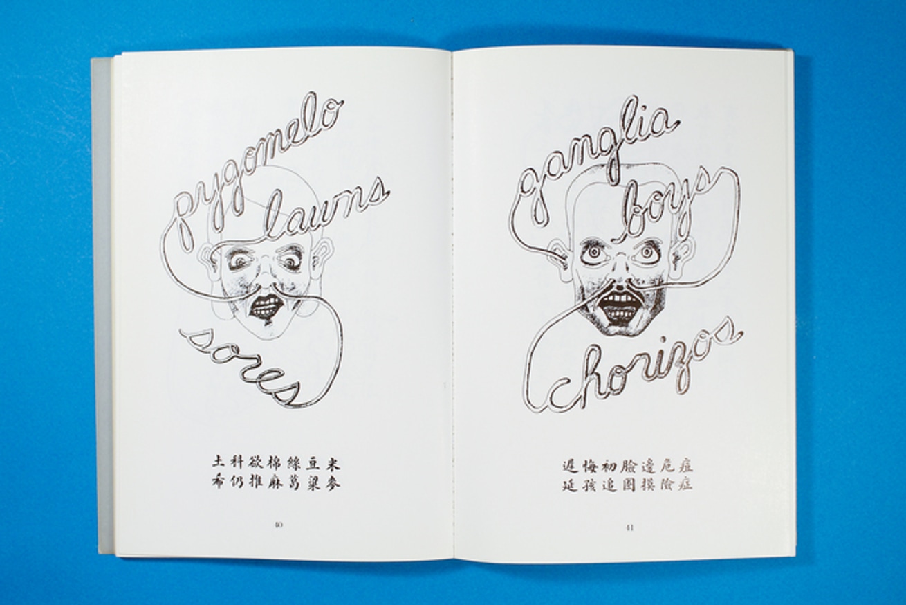 Die Notizbucher der Madimoiselle Heidi Schreber