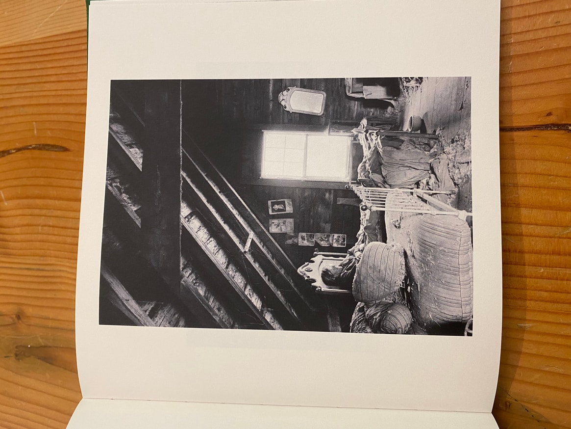 Into the Light Cellar thumbnail 3