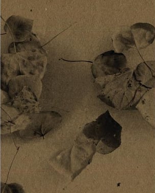 In Many Valleys, the Sun Was the Eye of God