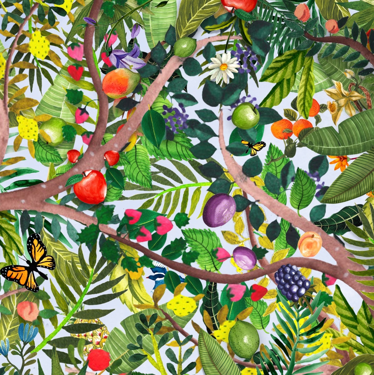 Fruit, leaves and branch illustrations