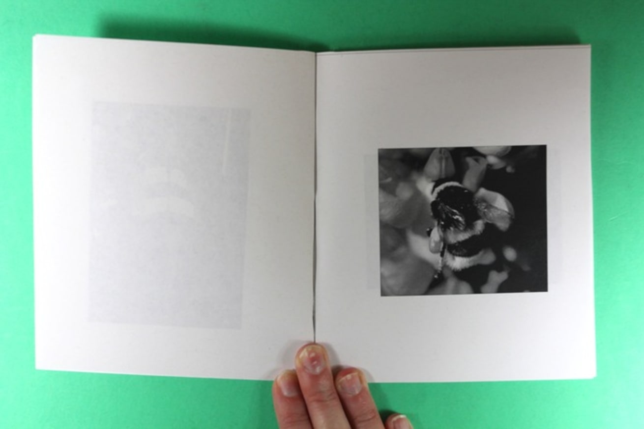 Bzzzzzzzzz! thumbnail 4