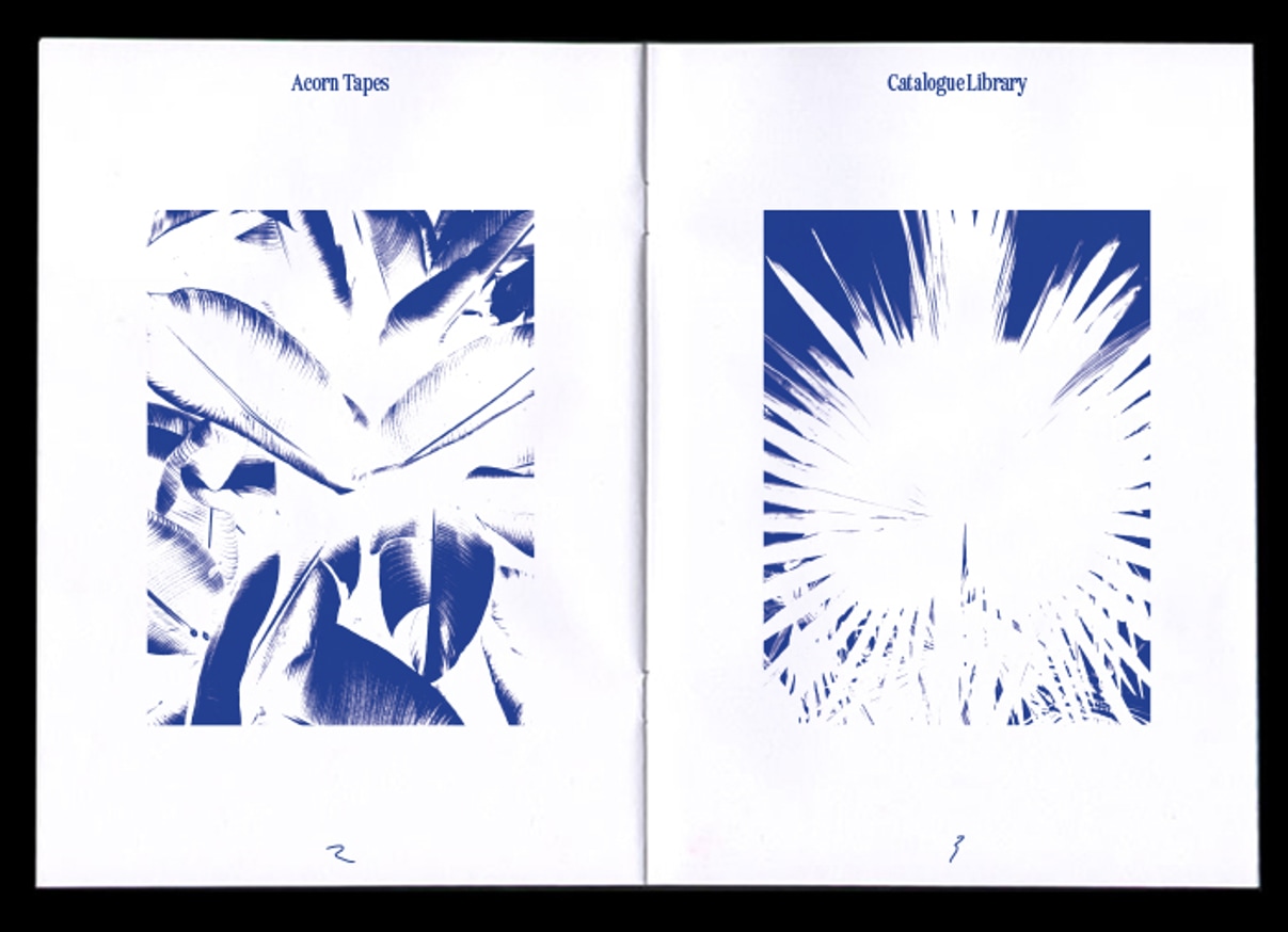 Acorn Curated 01 thumbnail 2