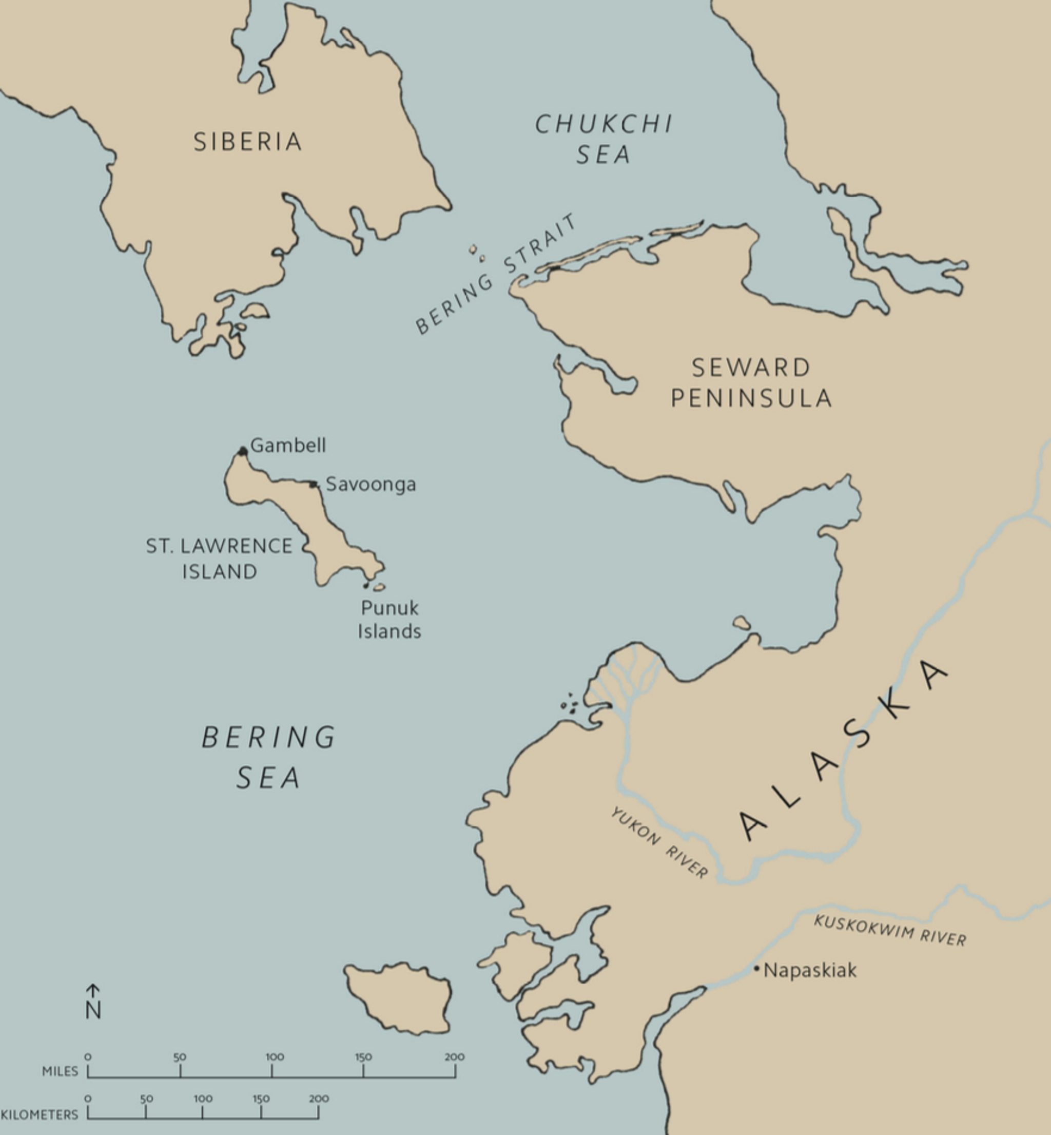 Yupik The Menil Collection