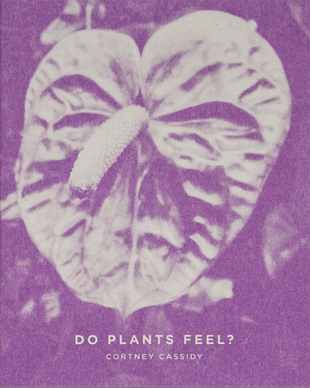 Do Plants Feel?