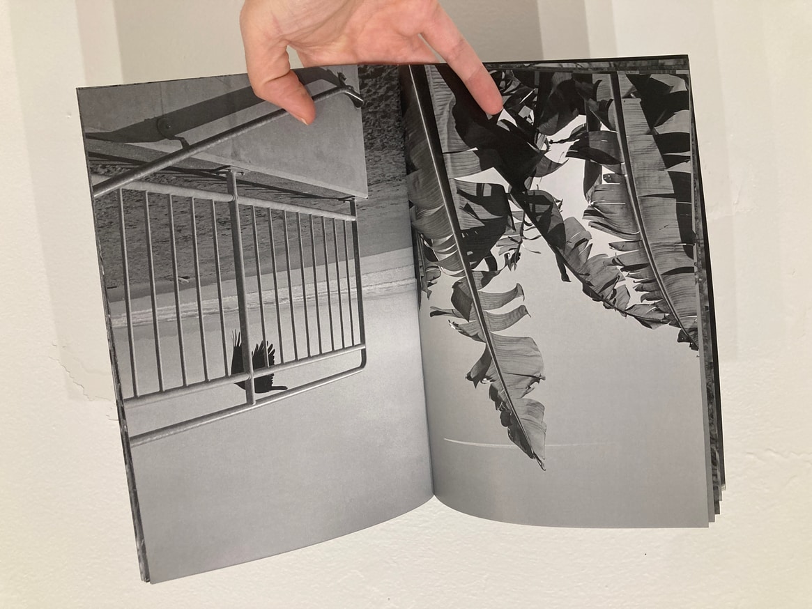 Coastal Access thumbnail 3