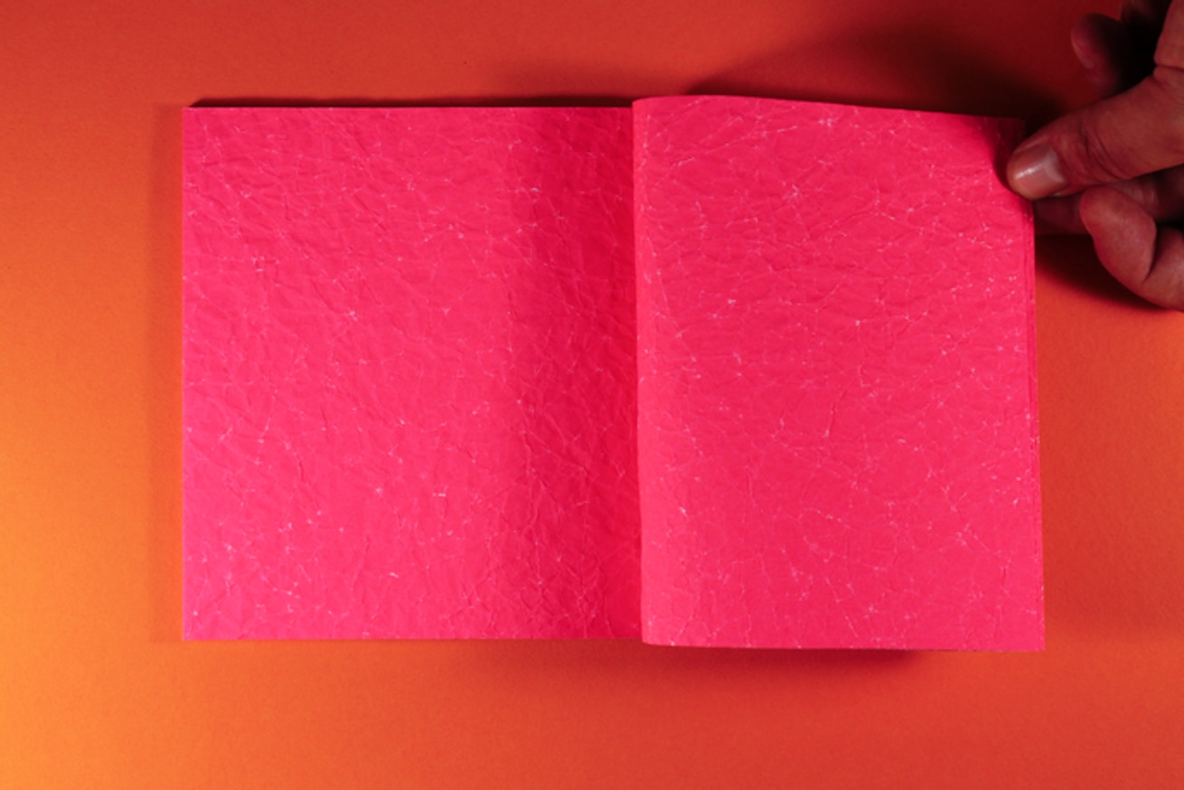Pink Paper thumbnail 3
