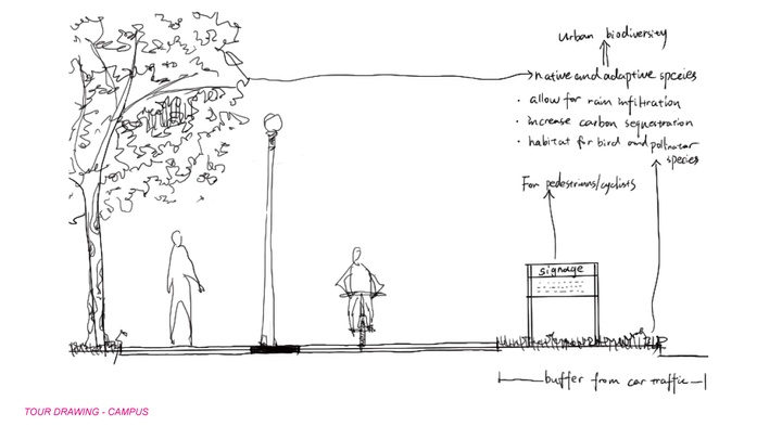 Drawing showing a tree, a person walking, a lamppost, a person riding a bicycle, and a sign, with additional notes. 
