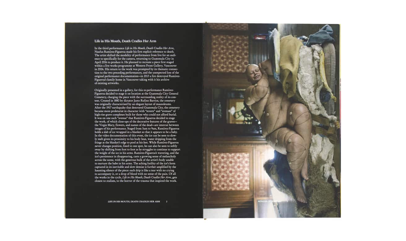 Naufus Ramírez-Figueroa: Requíem for Mirrors and Tigers thumbnail 3