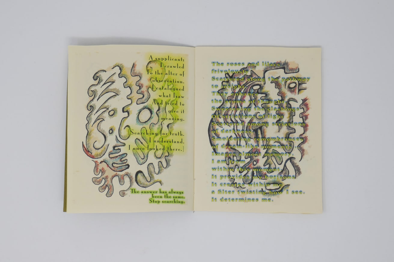 The Voyage Back thumbnail 2