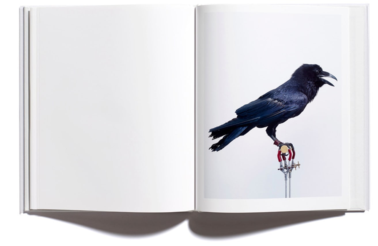 Religious Symbols / London Garden Birds / Numbers / Sexual Predators / Political Symbols  thumbnail 10