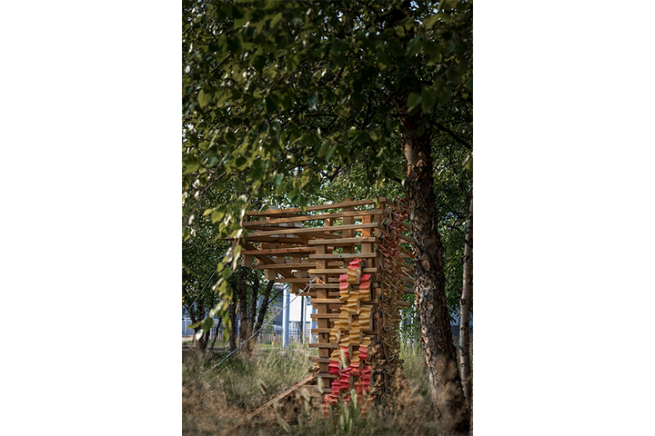 Wood and ceramic sculpture outdoors next to tree and native grasses