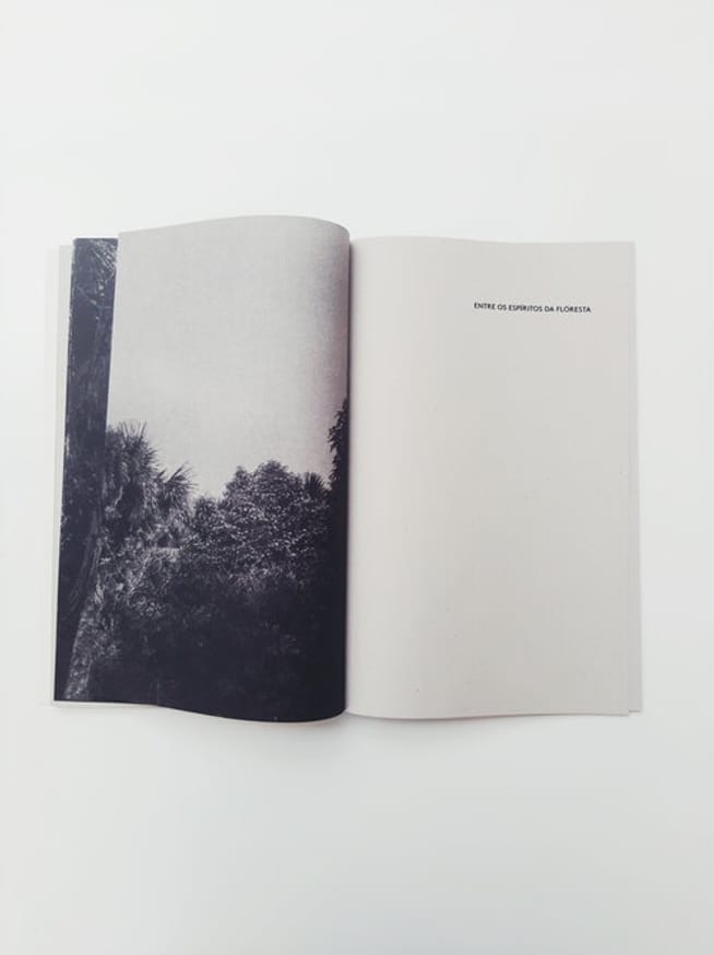 Amazonia thumbnail 3