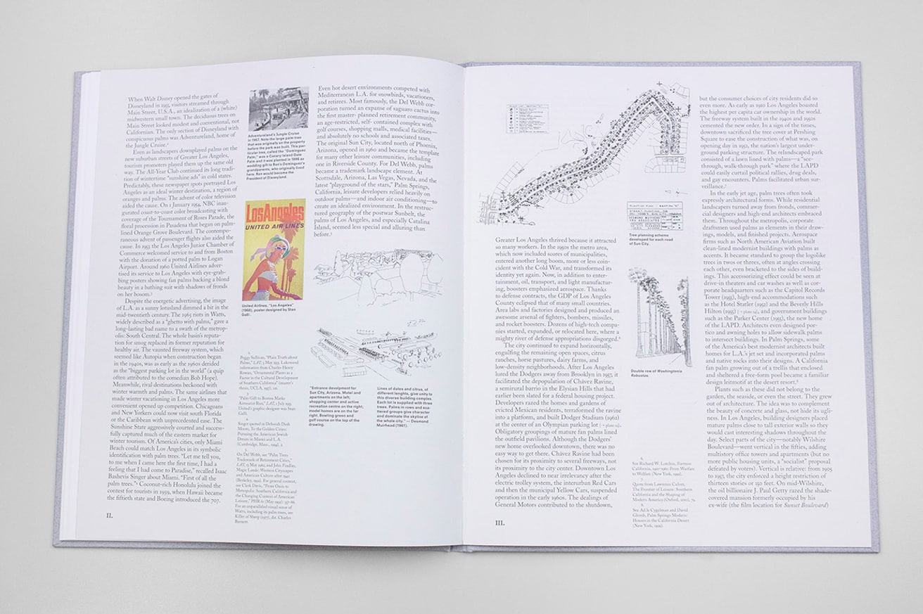 Los Angeles Palms thumbnail 6