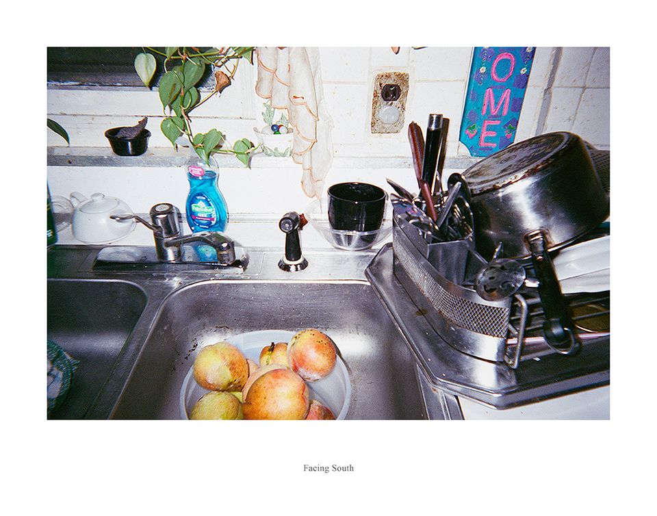 Photo of a stainless steel sink with a white bucket of fruit on one side, and a pile of dishes outside the sink to the right in a drying rack. A bottle of blue dish soap and a plant can be viewed behind the sink.