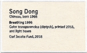 Permanent Collection Canvas Patch: Song Dong