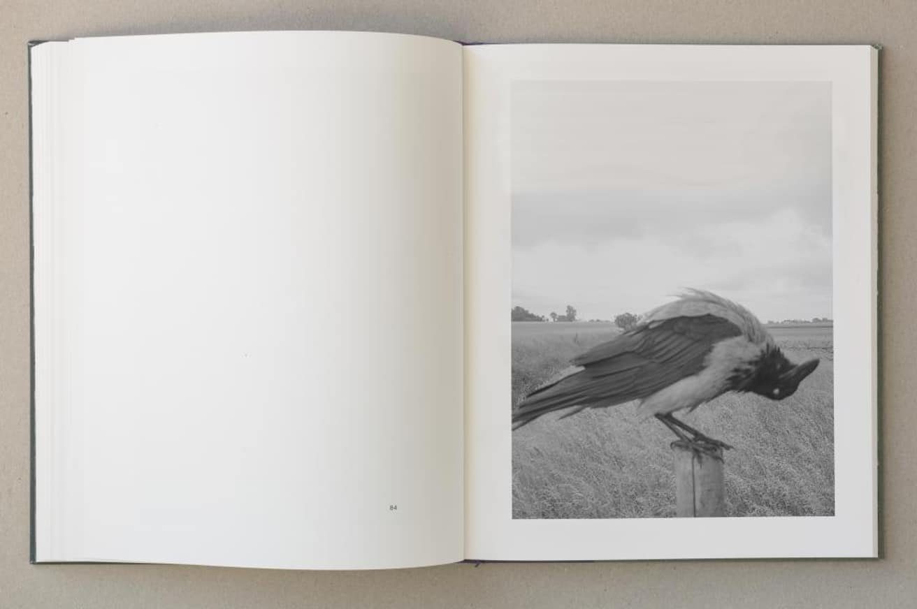 The Pillar thumbnail 8