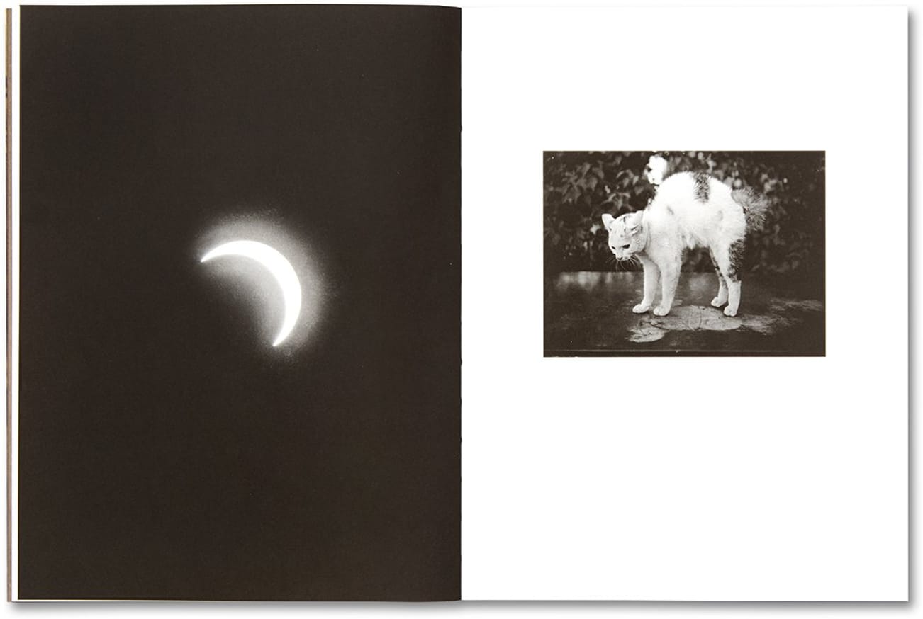 Elf Dalia thumbnail 2