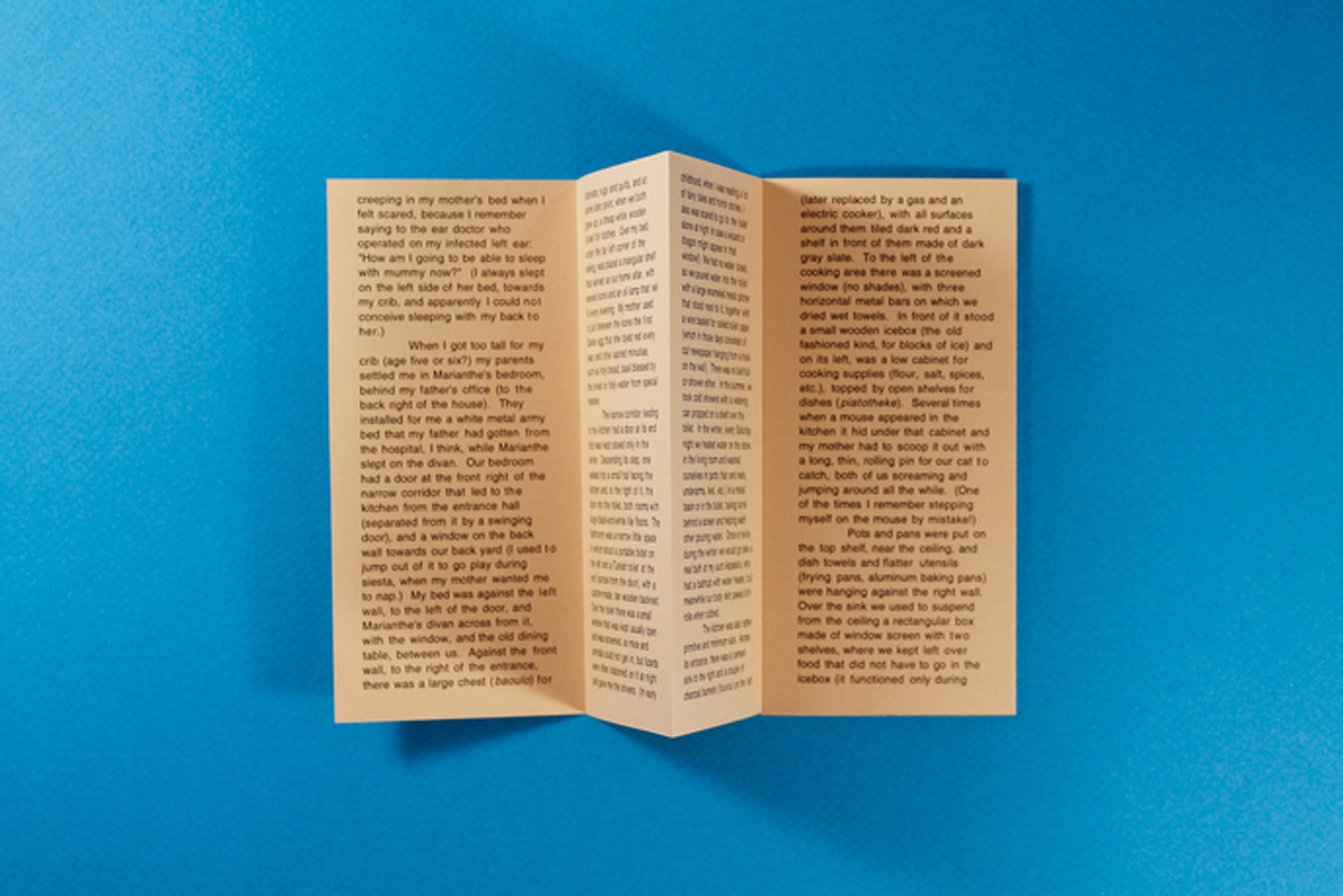 My Childhood Home (Visual Memory Excavation #2) thumbnail 2