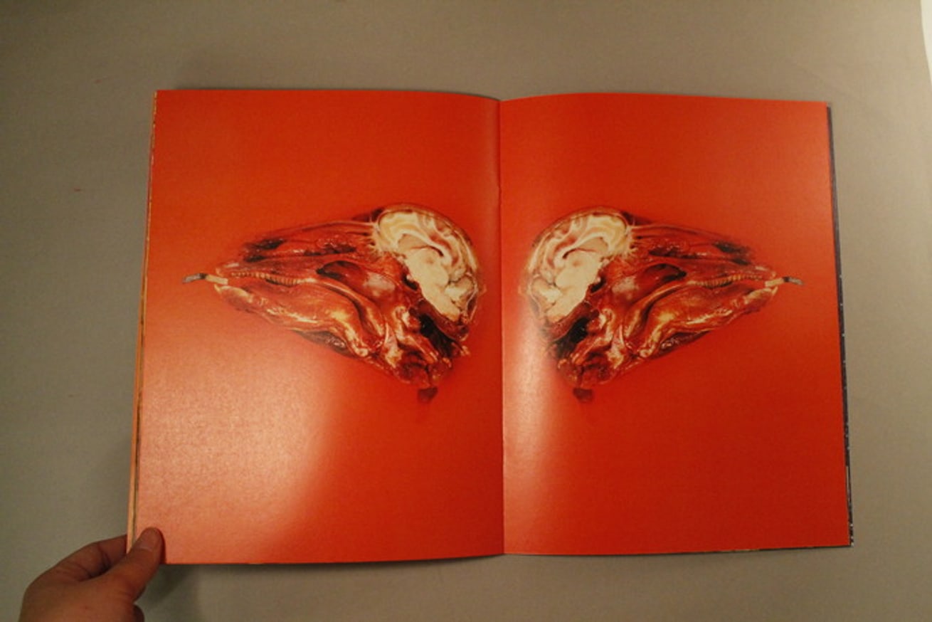 Toilet Paper thumbnail 3