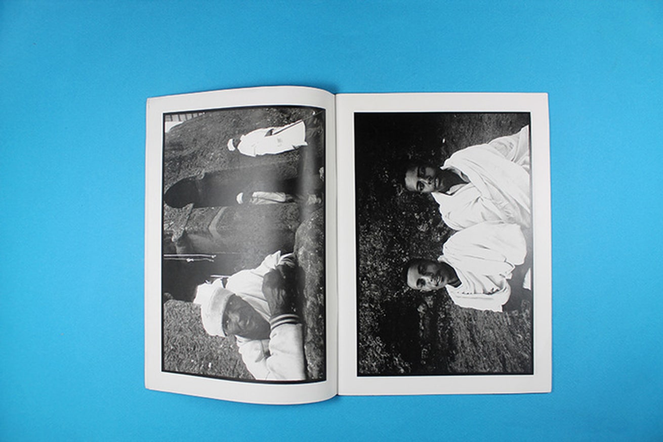 Abyssinian thumbnail 3